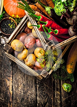 Organic food. Harvest of fresh vegetables in old boxes.