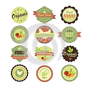 Organic food labels and elements. Illustration eps10