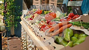 Organic food marketplace stand with colorful bio produce