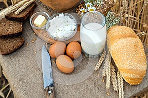 Organic food - milk, bread, eggs, cheese, butter, knife, lying on the table, against the background of a wheat field.