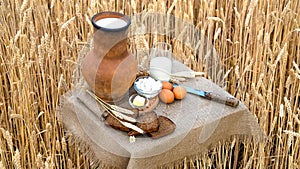 Organic food - milk, bread, eggs, cheese, butter, knife, lying on the table, against the background of a wheat field.