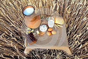 Organic food - milk, bread, eggs, cheese, butter lying on the table, against the background of a wheat field.