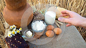 Organic food - milk, bread, eggs, cheese, butter lying on the table, against the background of a wheat field