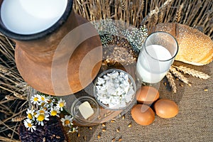 Organic food - milk, bread, eggs, cheese, butter lying on the table, against the background of a wheat field.