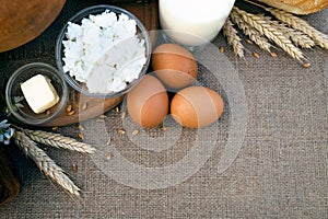 Organic food - milk, bread, eggs, cheese, butter, lying on the table, against the background of a wheat field.