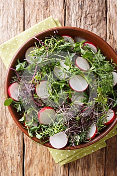 Organic food radish salad with micro green mix close-up in a bowl. Vertical top view