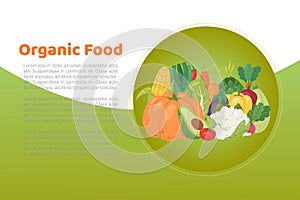 Organic food vegetables and eco vegetarian food banner on green circle vector illustration banner.