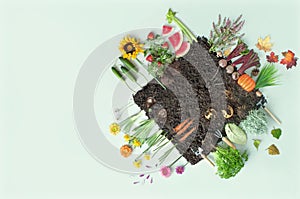 Organic four seasons fruits and vegetables concept