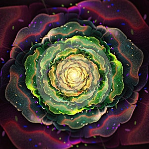 Organic Fractal Flower