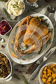 Organic Free Range Homemade Thanksgiving Turkey