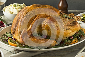 Organic Free Range Homemade Thanksgiving Turkey