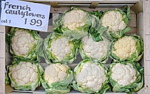 Organic French Cauliflowers