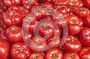 Organic fresh big red ripe tomatoes on the market on sunny day