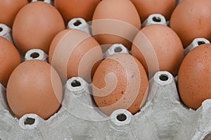 organic fresh brown eggs in cardboard egg tray