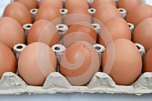 organic fresh brown eggs in cardboard egg tray,