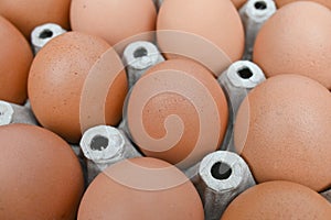 organic fresh brown eggs in cardboard egg tray