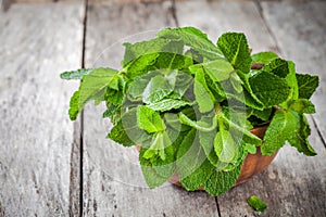 Organic fresh bunch of mint in wooden bowl
