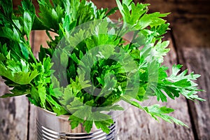 Organic fresh bunch of parsley closeup