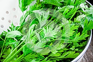 Organic fresh bunch of parsley with drops closeup