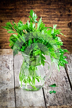 Organic fresh bunch of parsley in a glass jar