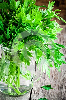 Organic fresh bunch of parsley in a glass jar closeup