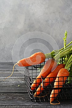 organic fresh carrots for juice