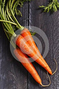 organic fresh carrots for juice