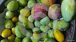 Organic fresh chemical free mangos photo