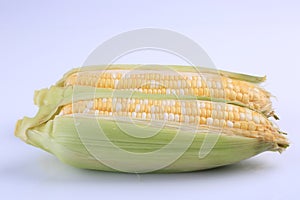 Organic fresh corns isolated on white background