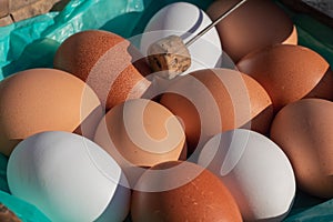 Organic fresh eggs on the market place