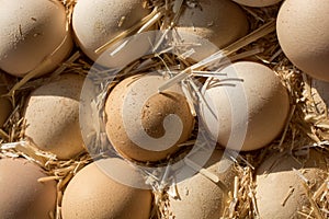 Organic fresh farm eggs at the market