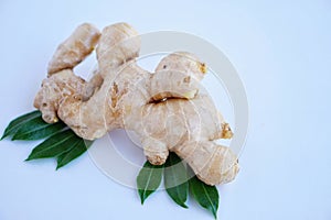 Organic fresh ginger roots. Thai herb and ingredient for cooking