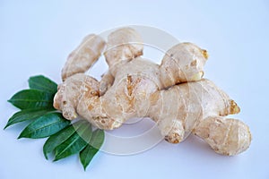 Organic fresh ginger roots. Thai herb and ingredient for cooking