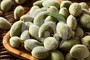 Organic Fresh Green Almonds