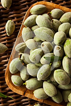Organic Fresh Green Almonds