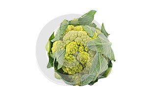 Organic Fresh Green Cauliflower Isolated On White Background