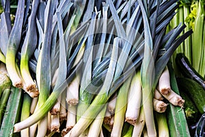 Organic fresh green leeks