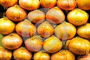Organic fresh onion on market