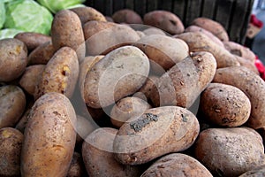 Organic fresh potatoes on city market