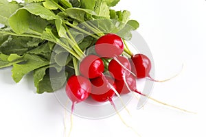 Organic fresh red radishes with green foliage on a white background, seasonal vegetables grown on farm in early spring