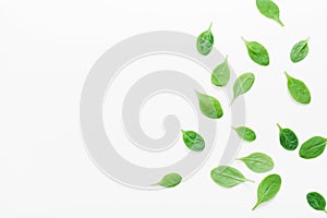 Organic and fresh spinach leaves on white background top view. Flat lay.