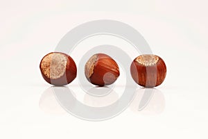 Organic and fresh three hazelnuts next to each other on white background