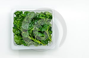 Organic fresh watercress or yellowcress in a square plastic box on white background, top view image, isolated on white background