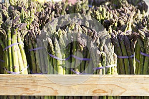 Organic fresh wild asparagus