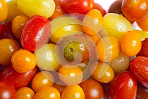 Organic Fresh Wild Tomato Varieties