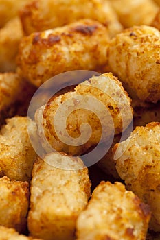 Organic Fried Tater Tots