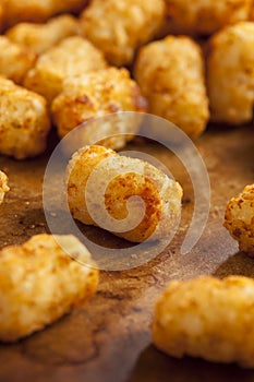 Organic Fried Tater Tots