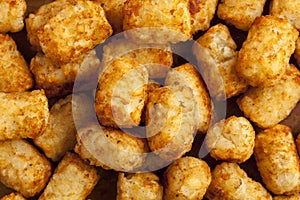 Organic Fried Tater Tots photo