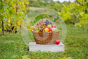 Organic fruit in basket in summer grass.