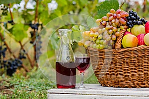 Organic fruit in basket in summer grass. Decanter and glass of wine.